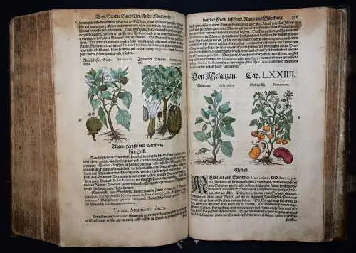 KRÄUTERBUCH 1586 ~800 HANKOLORIERTE HOLZSCHNITTE Matthioli, Kreutterbuch BOTANIK