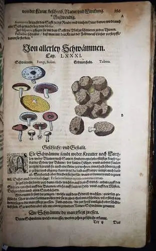 KRÄUTERBUCH 1586 ~800 HANKOLORIERTE HOLZSCHNITTE Matthioli, Kreutterbuch BOTANIK