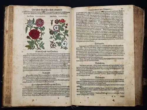 KRÄUTERBUCH 1586 ~800 HANKOLORIERTE HOLZSCHNITTE Matthioli, Kreutterbuch BOTANIK