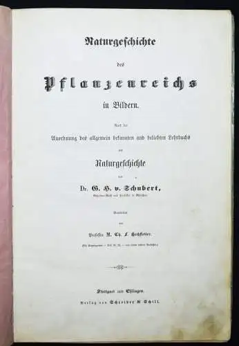 Schubert, Naturgeschichte des Pflanzenreichs in Bildern 1854 WUNDERSCHÖNE TAFELN