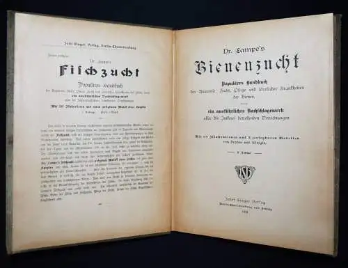 Lampe, Bienenzucht - 1909 mit zerlegbarem Modell - BIENEN IMKEREI