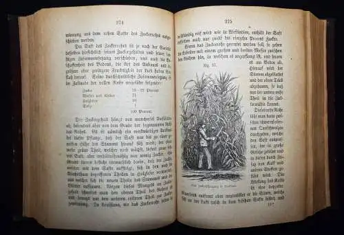 Johnston, Die Chemie des täglichen Lebens - 1869 LEBENSMITTELCHEMIE