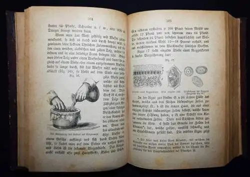 Johnston, Die Chemie des täglichen Lebens - 1869 LEBENSMITTELCHEMIE