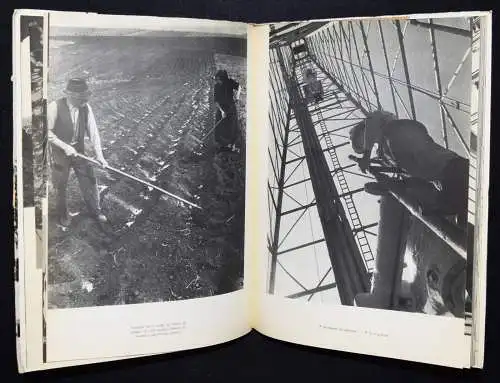 SEHR SELTEN - Peter Scheier - Paraná, Brasil - Einzige Ausgabe 1953 - Brasilien