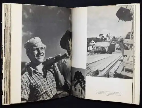 SEHR SELTEN - Peter Scheier - Paraná, Brasil - Einzige Ausgabe 1953 - Brasilien