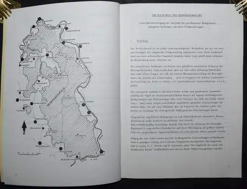 SCHUMANN, DIE VOGELWELT DES REINHARDSWALDES - WIDMUNGSEXEMPLAR - SIGNIERT