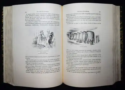 Bertall, La vigne - 1878 ÖNOLOGIE WEIN WEINBAU FRANKREICH CHAMPAGNER KARIKATUREN