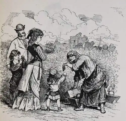 Bertall, La vigne - 1878 ÖNOLOGIE WEIN WEINBAU FRANKREICH CHAMPAGNER KARIKATUREN