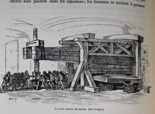 Bertall, La vigne - 1878 ÖNOLOGIE WEIN WEINBAU FRANKREICH CHAMPAGNER KARIKATUREN