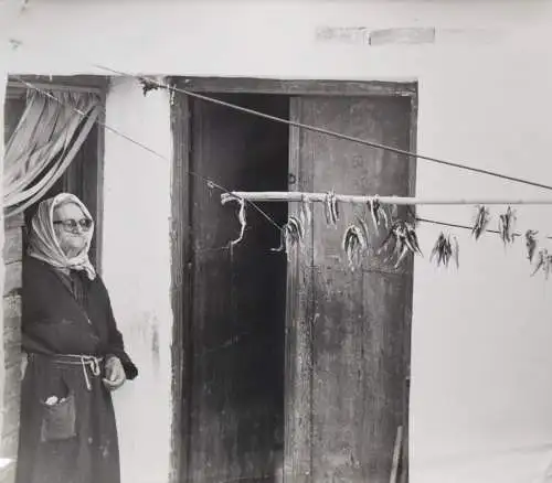 Heyne, Maren. Ilionissia - 1973 FIRST EDITION + ORIG.-PHOTOGRAPH