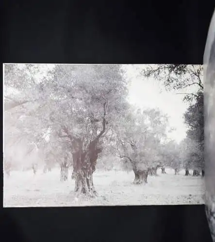 Heyne, Maren. Ilionissia - 1973 FIRST EDITION + ORIG.-PHOTOGRAPH