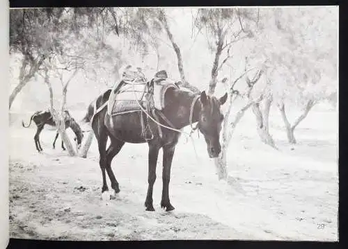 Heyne, Maren. Ilionissia - 1973 FIRST EDITION + ORIG.-PHOTOGRAPH