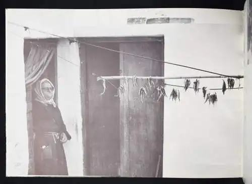 Heyne, Maren. Ilionissia - 1973 FIRST EDITION + ORIG.-PHOTOGRAPH