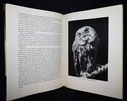 Schmid, Bastian. Das Tierkinderbuch 1944 SELTEN TIERE TIERSCHUTZ