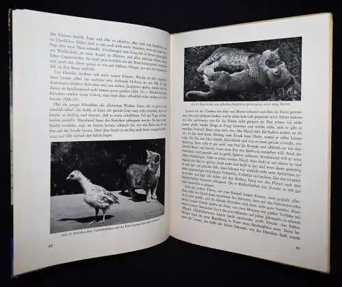 Schmid, Bastian. Das Tierkinderbuch 1944 SELTEN TIERE TIERSCHUTZ