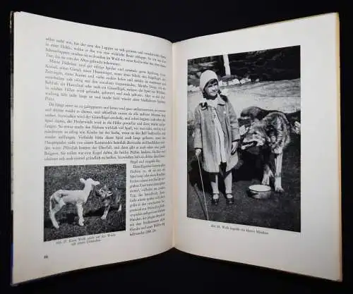 Schmid, Bastian. Das Tierkinderbuch 1944 SELTEN TIERE TIERSCHUTZ