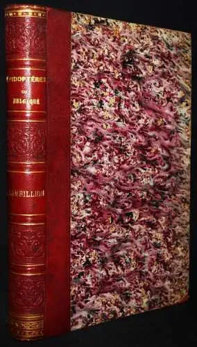 Papillons - Schmetterlinge - Lambillion - Catalogue - 1903 -  Belgien