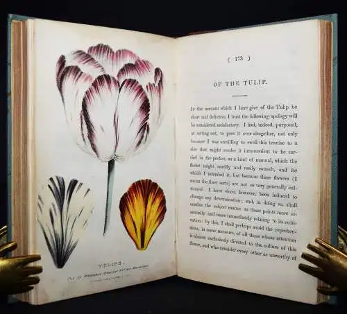 Hogg, A concise and practical treatise on the growth…1839 FLOWERS BLUMEN BOTANY