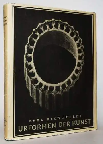 Blossfeldt, Karl. Urformen der Kunst. ERSTE AUSGABE - SCHÖNES EXEMPLAR !