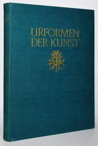 Blossfeldt, Karl. Urformen der Kunst. ERSTE AUSGABE - SCHÖNES EXEMPLAR !