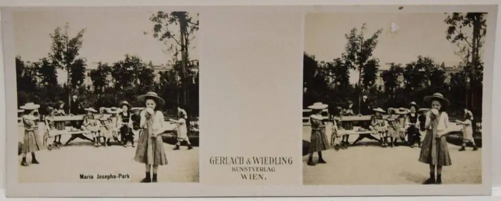 BALLSPENDE DAMENSPENDE – Ball der Stadt Wien 1906 SEHR SELTEN 15