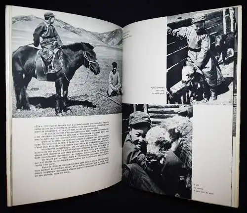 Bonnieux, Horoldamba, le petit Mongol - 1957 MONGOLEI MONGOLEN