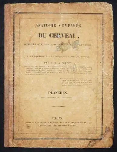 Serre, Anatomie comparee du cerveau - 1824 GEHRIN ANATOMIE NEUROCHIRURGIE