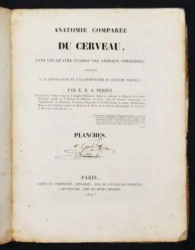 Serre, Anatomie comparee du cerveau - 1824 GEHRIN ANATOMIE NEUROCHIRURGIE