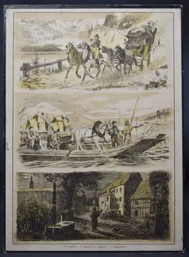 Meyerheim, Zwölf Tier- und Arbeitsbilder. Schneider 1892 ANSCHAUUNGSBILDERBUCH