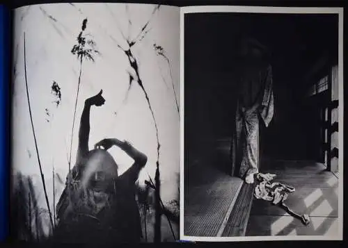 Hosoe, Eikoh. Kamaitachi 1969 SIGNED + ORIG.-PHOTOGRAPH + ORIG.-SHIPPING BOX