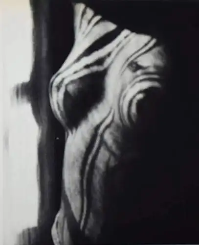 Man Ray, Photographs 1920-1934 FIRST EDITION FIRST PRINTING RARE CATALOGUE !