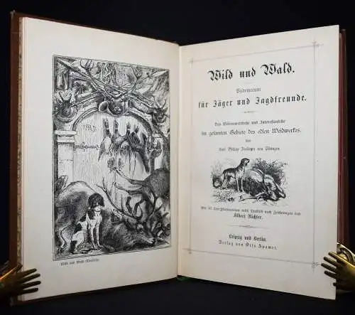 Thüngen, Wild und Wald - 1880 EINZIGE AUSGABE ILLUSTR. A. RICHTER JAGD JAGEN