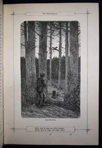 Thüngen, Wild und Wald - 1880 EINZIGE AUSGABE ILLUSTR. A. RICHTER JAGD JAGEN