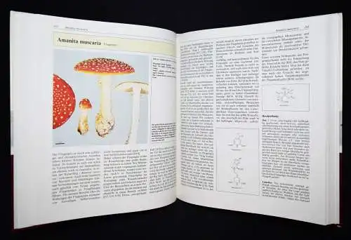 Bresinsky, Giftpilze - 1985 PILZE MUSHROOMS BOTANIK BOTANY