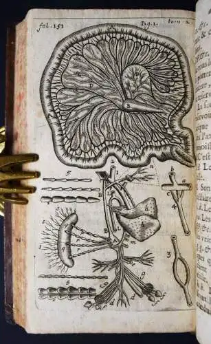 Barles, Les nouvelles decouvertes …  1676 CHIRURGIE ANATOMIE GYNECOLOGIE