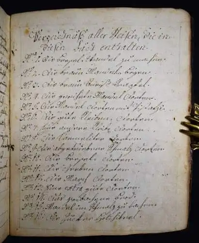 Spatt, KOCHBUCH-HANDSCHRIFT worinnen die weise verschiedene Speisen...1766