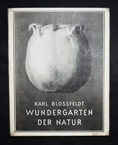 Karl Blossfeldt. Wundergarten der Natur - 1932 - BOTANIK