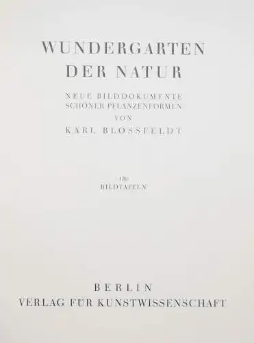 Karl Blossfeldt. Wundergarten der Natur - 1932 - BOTANIK