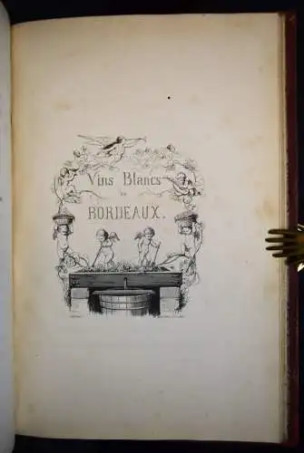 Biarnez, Les grands vins de Bordeaux 1849 ERSTE AUSGABE - ÖNOLOGIE WEINBAU WEIN