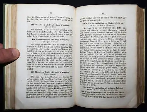 Klein, Carl Friedrich. Die Küche. Wirth 1856 KOCHBUCH KOCHEN