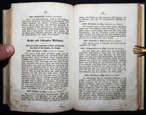 Klein, Carl Friedrich. Die Küche. Wirth 1856 KOCHBUCH KOCHEN