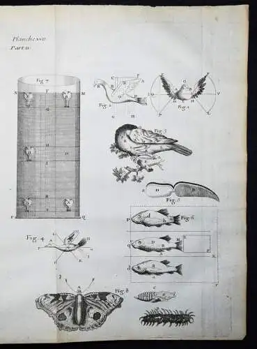 Nieuwentijt, L’existence de Dieu démontrée par...1725 ANATOMIE ASTRONOMIE PHYSIK