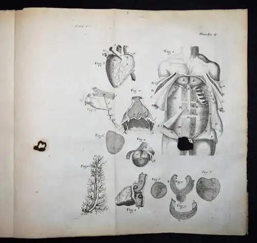 Nieuwentijt, L’existence de Dieu démontrée par...1725 ANATOMIE ASTRONOMIE PHYSIK