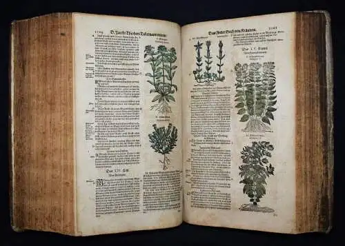 KRÄUTERBUCH 1664 KREUTERBUCH HEILPFLANZEN BOTANIK BOTANY HERBS Tabernaemontanus