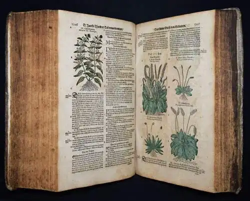 KRÄUTERBUCH 1664 KREUTERBUCH HEILPFLANZEN BOTANIK BOTANY HERBS Tabernaemontanus