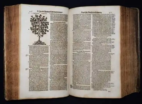 KRÄUTERBUCH 1664 KREUTERBUCH HEILPFLANZEN BOTANIK BOTANY HERBS Tabernaemontanus