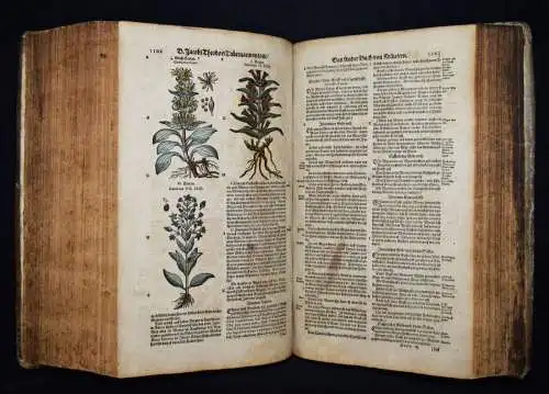 KRÄUTERBUCH 1664 KREUTERBUCH HEILPFLANZEN BOTANIK BOTANY HERBS Tabernaemontanus