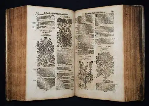 KRÄUTERBUCH 1664 KREUTERBUCH HEILPFLANZEN BOTANIK BOTANY HERBS Tabernaemontanus