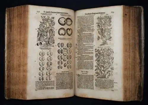 KRÄUTERBUCH 1664 KREUTERBUCH HEILPFLANZEN BOTANIK BOTANY HERBS Tabernaemontanus