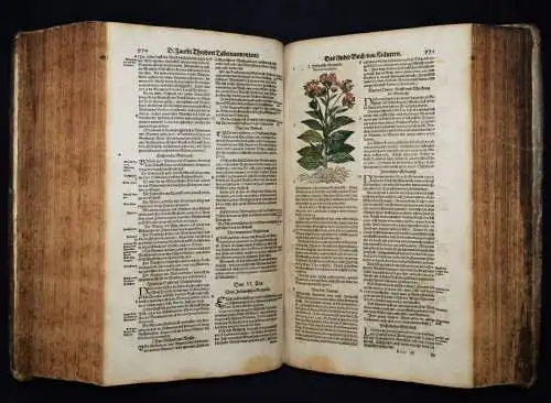 KRÄUTERBUCH 1664 KREUTERBUCH HEILPFLANZEN BOTANIK BOTANY HERBS Tabernaemontanus